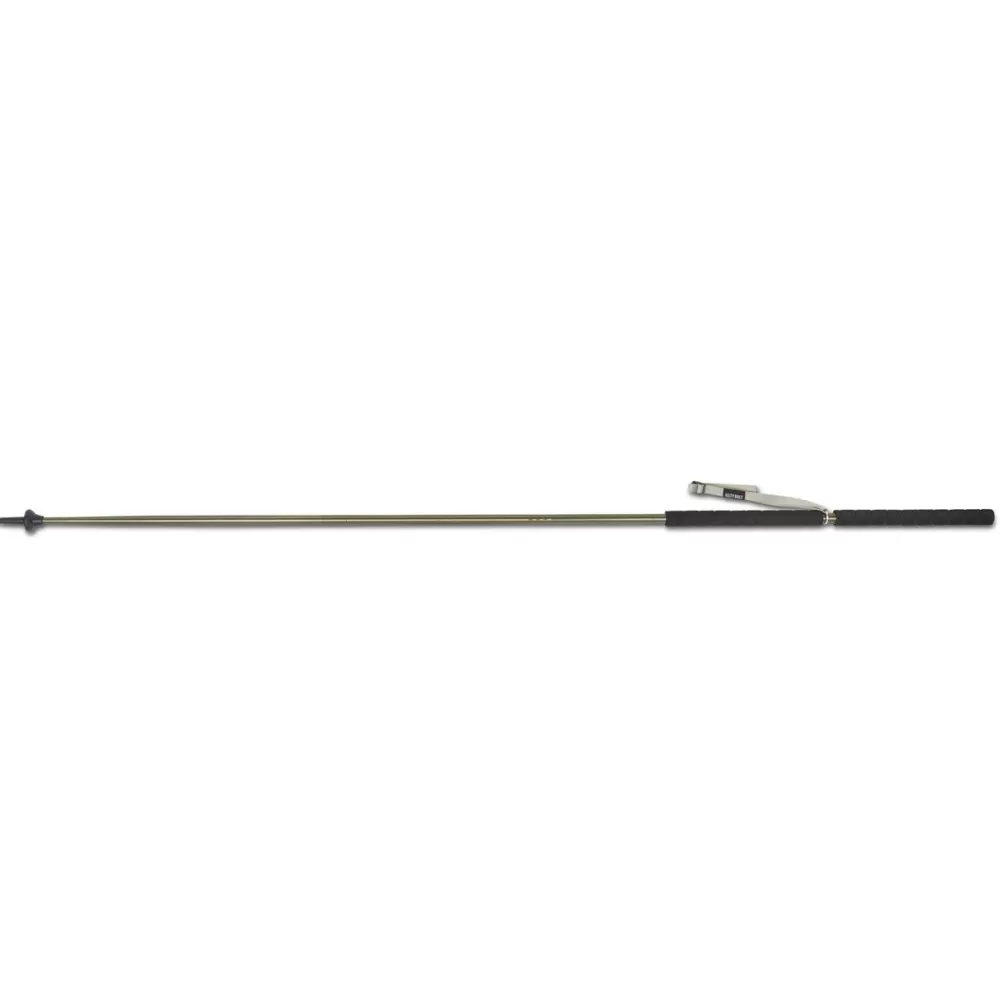 Kelty Trekking Poles-Strider Hiking Staff